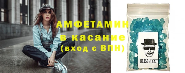 шишки Арсеньев
