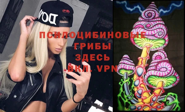 шишки Арсеньев