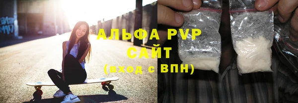 шишки Арсеньев