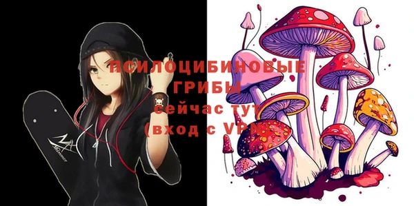 шишки Арсеньев